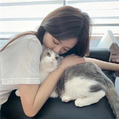理想的丈夫